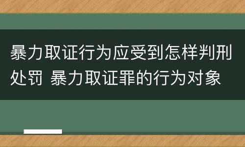 暴力取证行为应受到怎样判刑处罚 暴力取证罪的行为对象