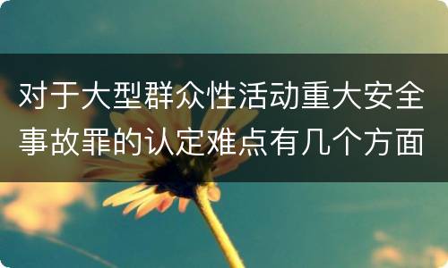 对于大型群众性活动重大安全事故罪的认定难点有几个方面
