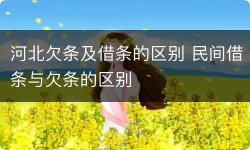 河北欠条及借条的区别 民间借条与欠条的区别