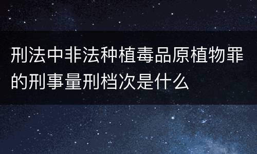 刑法中非法种植毒品原植物罪的刑事量刑档次是什么