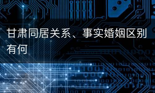 甘肃同居关系、事实婚姻区别有何