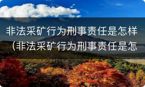 非法采矿行为刑事责任是怎样（非法采矿行为刑事责任是怎样定义的）