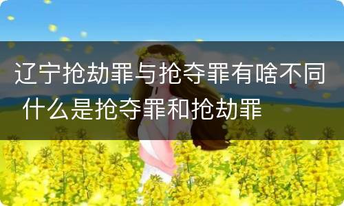 辽宁抢劫罪与抢夺罪有啥不同 什么是抢夺罪和抢劫罪