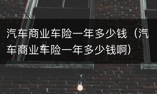 汽车商业车险一年多少钱（汽车商业车险一年多少钱啊）