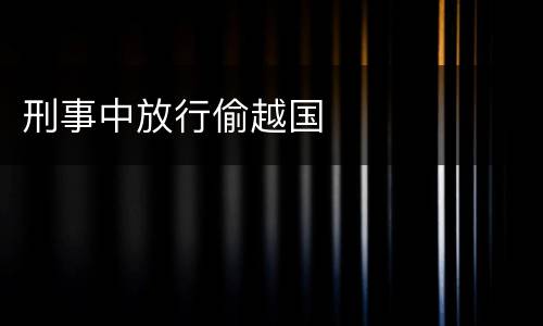 刑事中放行偷越国
