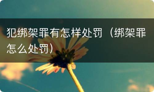 犯绑架罪有怎样处罚（绑架罪怎么处罚）