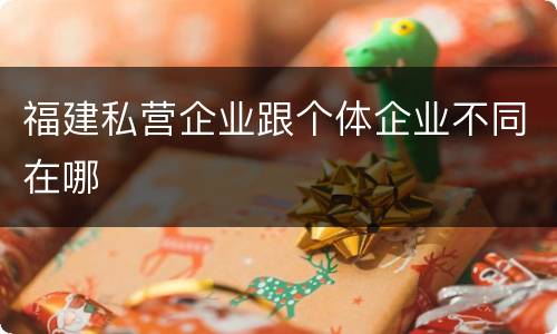 福建私营企业跟个体企业不同在哪