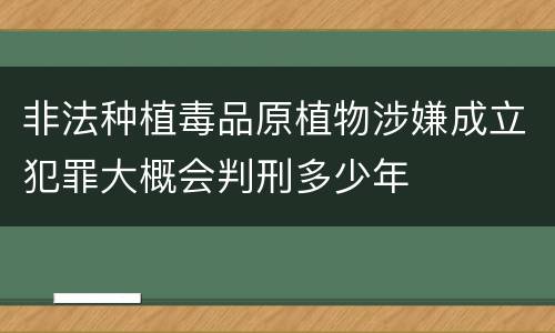非法种植毒品原植物涉嫌成立犯罪大概会判刑多少年