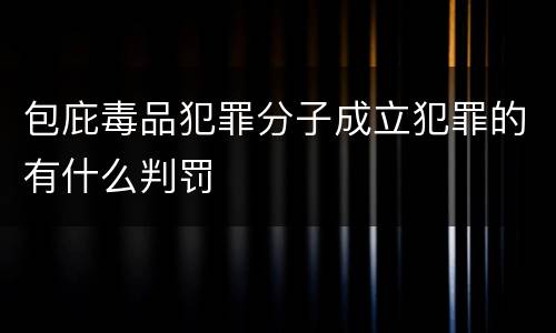 包庇毒品犯罪分子成立犯罪的有什么判罚