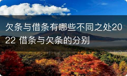欠条与借条有哪些不同之处2022 借条与欠条的分别