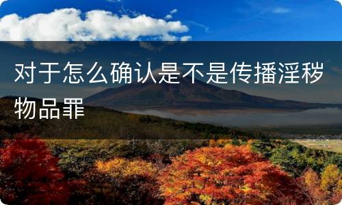 对于怎么确认是不是传播淫秽物品罪