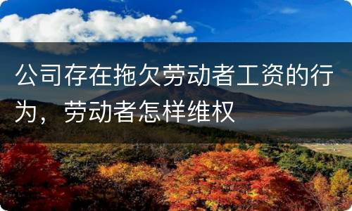 公司存在拖欠劳动者工资的行为，劳动者怎样维权