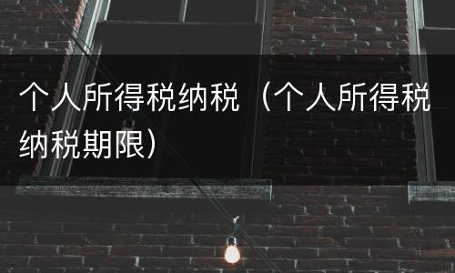 个人所得税纳税（个人所得税纳税期限）