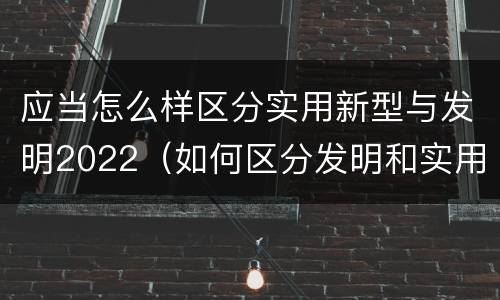 应当怎么样区分实用新型与发明2022（如何区分发明和实用新型）