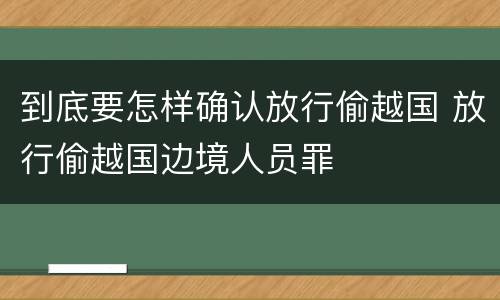 到底要怎样确认放行偷越国 放行偷越国边境人员罪