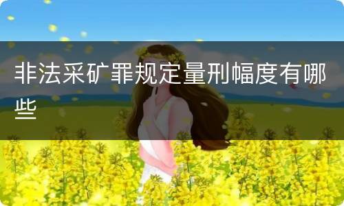 非法采矿罪规定量刑幅度有哪些