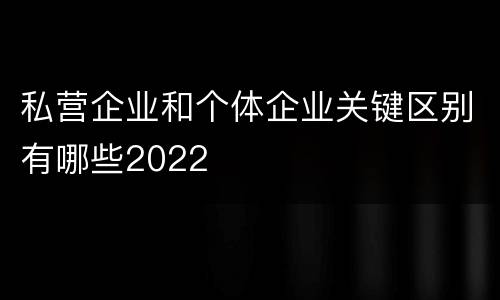 私营企业和个体企业关键区别有哪些2022