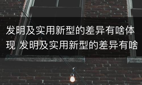 发明及实用新型的差异有啥体现 发明及实用新型的差异有啥体现吗