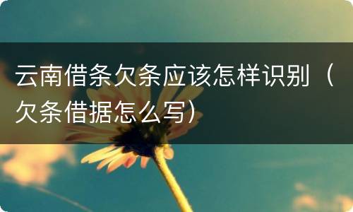 云南借条欠条应该怎样识别（欠条借据怎么写）