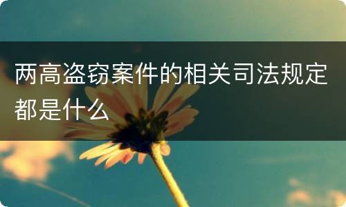 两高盗窃案件的相关司法规定都是什么