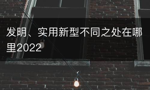 发明、实用新型不同之处在哪里2022
