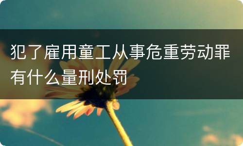 犯了雇用童工从事危重劳动罪有什么量刑处罚