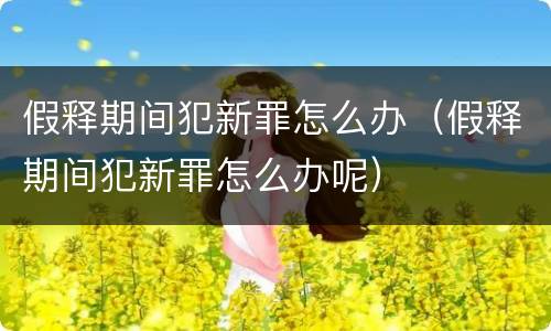 假释期间犯新罪怎么办（假释期间犯新罪怎么办呢）