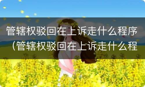 管辖权驳回在上诉走什么程序（管辖权驳回在上诉走什么程序起诉）