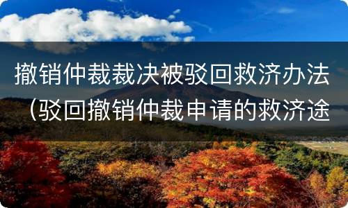 撤销仲裁裁决被驳回救济办法（驳回撤销仲裁申请的救济途径）