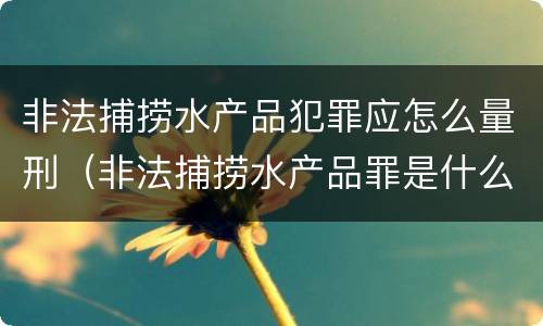 非法捕捞水产品犯罪应怎么量刑（非法捕捞水产品罪是什么犯罪类型）