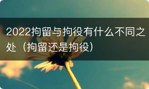2022拘留与拘役有什么不同之处（拘留还是拘役）