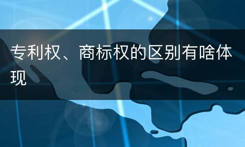 专利权、商标权的区别有啥体现