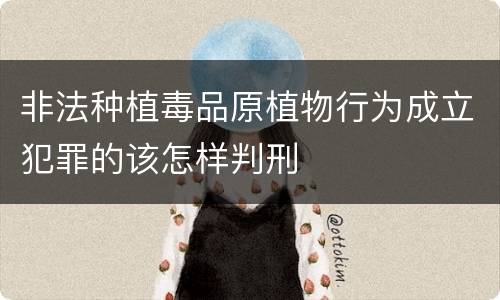 非法种植毒品原植物行为成立犯罪的该怎样判刑