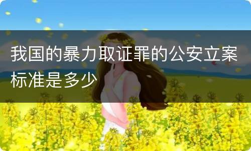 我国的暴力取证罪的公安立案标准是多少