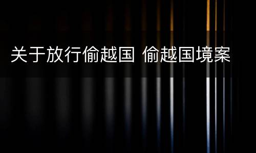 关于放行偷越国 偷越国境案