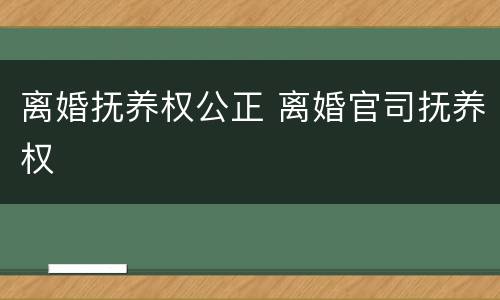 离婚抚养权公正 离婚官司抚养权