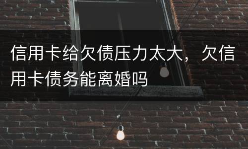 信用卡给欠债压力太大，欠信用卡债务能离婚吗
