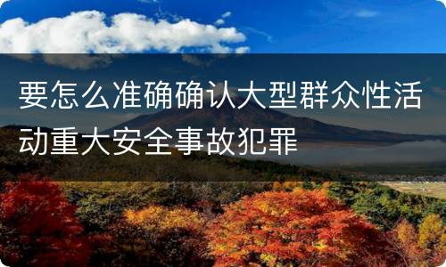要怎么准确确认大型群众性活动重大安全事故犯罪