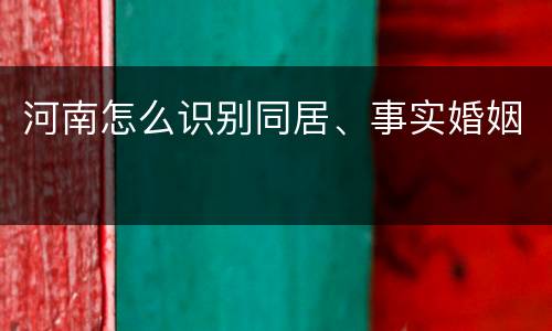 河南怎么识别同居、事实婚姻