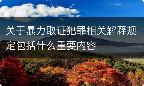 关于暴力取证犯罪相关解释规定包括什么重要内容