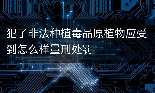 犯了非法种植毒品原植物应受到怎么样量刑处罚