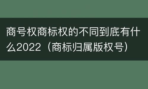 商号权商标权的不同到底有什么2022（商标归属版权号）
