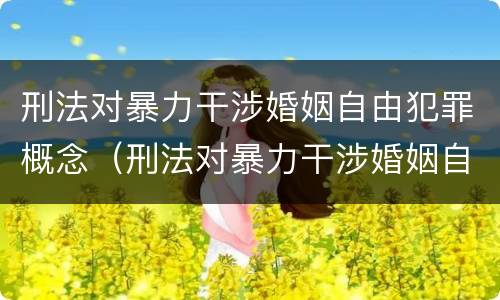 刑法对暴力干涉婚姻自由犯罪概念（刑法对暴力干涉婚姻自由犯罪概念的解释）