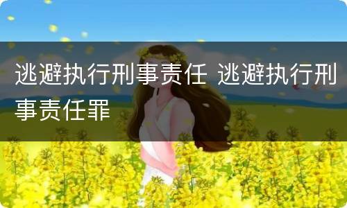 逃避执行刑事责任 逃避执行刑事责任罪