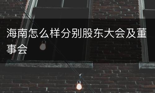海南怎么样分别股东大会及董事会