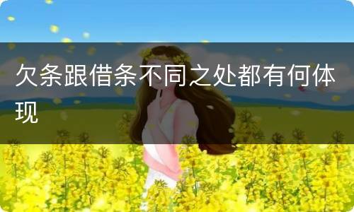 欠条跟借条不同之处都有何体现