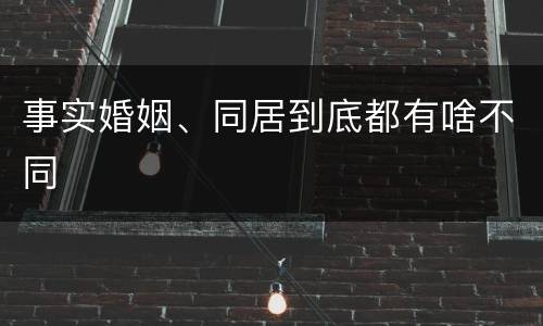事实婚姻、同居到底都有啥不同