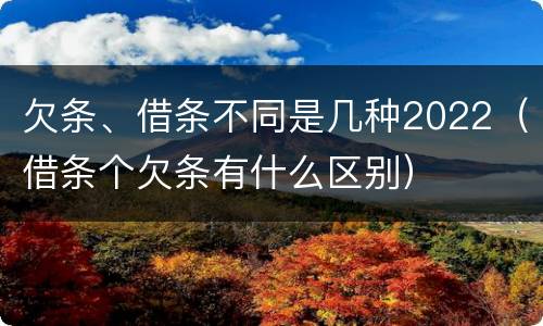 欠条、借条不同是几种2022（借条个欠条有什么区别）
