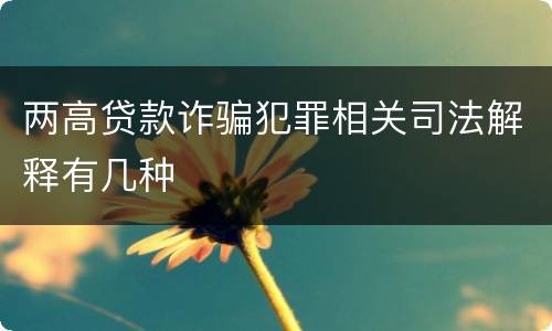 两高贷款诈骗犯罪相关司法解释有几种