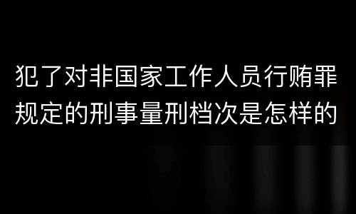 犯了对非国家工作人员行贿罪规定的刑事量刑档次是怎样的